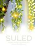 Suled Dekoratif Yapraklı Led Işık 3X1 Metre 180 Led 220V Fişli 3 Modlu Ambiyans Aydınlatma Süs & Dekor Led - 4