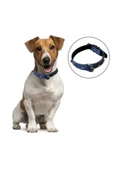 Yumuşak Dokulu Deri Köpek Gezdirme Boyun Tasması (Large) - 2