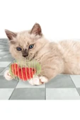 Yaylı Metal Fareli Kafes Kedi Oyun Topu Sıçrayan Spiral Kedi Topu - 3