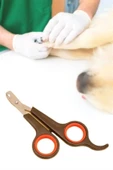 Küçük Çelik Uçlu Kedi Köpek Evcil Hayvan Tırnak Makası Pati Bakım Aleti Ergonomik Kaymaz Sap - 1