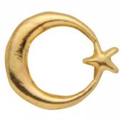 Vatan Rozet Ayyıldızlı Prinç VT634(30 adet) - 1