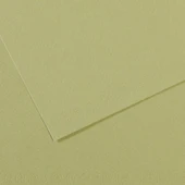 Canson Fon Kartonu (Dokulu) Mı-Teıntes Sh Canmt 50x65 160 Gr Grn 480-10-LU-PKT - 1