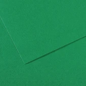 Canson Fon Kartonu (Dokulu) Mı-Teıntes Sh Canmt 50x65 160 GR Grn 575 31032S114-10-PKT - 1