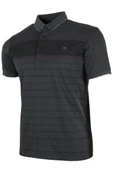 Erkek Tişört Polo Yaka Normal Kesim Desenli RAR01322 - 2