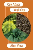 SELESTA LİFE Çay Ağacı Yağı, Yeşil Çay ve Aloe vera Yüz Peelingi 100 ml - 3