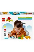 LEGO ® DUPLO® Vahşi Hayvan Aileleri: Penguenler ve Aslanlar 10442 - 2+ Eğitici Oyuncak Seti (10 Parça) - 4