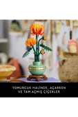 LEGO ® Botanicals Krizantem 10368 - 18+ Yaratıcı Model Yapım Seti (278 Parça) - 8