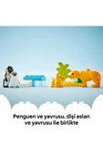 LEGO ® DUPLO® Vahşi Hayvan Aileleri: Penguenler ve Aslanlar 10442 - 2+ Eğitici Oyuncak Seti (10 Parça) - 8