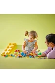 LEGO 10439 LEGO® Duplo Classic Arabalar ve Kamyonlar - 5