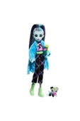 mattel Monster High Pijama Partisi Frankie Stein - 1