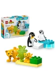 LEGO ® DUPLO® Vahşi Hayvan Aileleri: Penguenler ve Aslanlar 10442 - 2+ Eğitici Oyuncak Seti (10 Parça) - 1