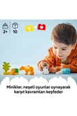 LEGO ® DUPLO® Vahşi Hayvan Aileleri: Penguenler ve Aslanlar 10442 - 2+ Eğitici Oyuncak Seti (10 Parça) - 7