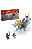 LEGO ® NINJAGO® Genç Ejderha Riyu 71810 - 6+ Yaratıcı Oyuncak Yapım Seti (132 Parça) - 1