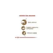 Ageing +12 Yaşlı Kedi Maması 2 kg - 4