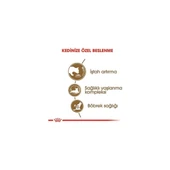 Ageing +12 Yaşlı Kedi Maması 2 kg - 3