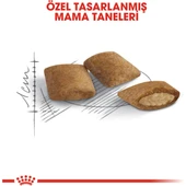Fhn Ageing +12 Kedi Maması - 2 kg - 4