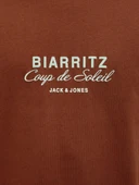 Jack Jones Canggu Chest Relax Fit Erkek Tişört 12277227 thumbnail 5