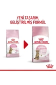 Royal Canin Kitten Sterilised (Genç Kısır) Yavru Kedi Maması 2 kg thumbnail 1
