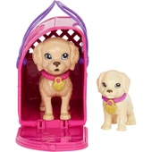 Barbie ve Köpekçikleri Oyun Seti - 2