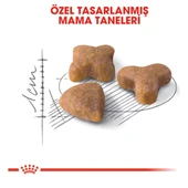 Sensible 33 Hassas Sindirim Sistemli Kediler Için Yetişkin Kedi Maması 15 kg thumbnail 4