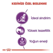 Sensible 33 Hassas Sindirim Sistemli Kediler Için Yetişkin Kedi Maması 15 kg thumbnail 3