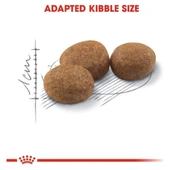 Sterilised 37 Kuru Kedi Maması 4kg thumbnail 4