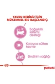 Royal Canin Mother Babycat Yavru Kuru Kedi Maması 4 kg thumbnail 4