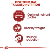 Fıt 32 Kedi Maması, 15 kg - 2