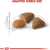 Savour Exigent, Özel Besinli, Kuru Kedi Maması, 10 kg - 4