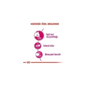 Exigent Savour Seçici Yetişkin Kedi Maması 10 kg - 3