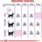 Exigent Kedi Maması - 10 kg thumbnail 2