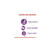 Sensible 33 Seçici ve Hassas Yetişkin Kedi Maması 4kg Regular Adult Cat Food thumbnail 4