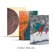 Üçlü Çizgisiz Defter Seti: Bir Masal: Mevlâna İdris - 2