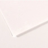 Canson Fon Kartonu (Dokulu) Mı-Teıntes Sh Canmt 50x65 160 GR Whıt 180 - 1