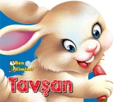 Ben Kimim? - Tavşan - 1
