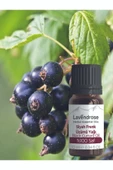 Siyah Frenk Üzümü Çekirdeği Yağı 10 ml %100 Doğal Omega 6 Yağı - 5