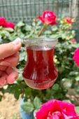 Mien 6 Kişilik Borosilikat Çizgili Cam Çay Bardağı Çay Bardağı - 1