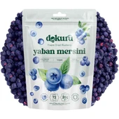 Dokuru Dondurularak Kurutulmuş Yaban Mersini 20 gr - 1