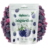 Dokuru Dondurularak Kurutulmuş Böğürtlen 20 gr - 1