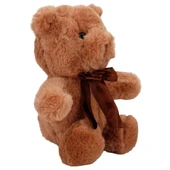 Kurdelalı Peluş Ayı 20 cm - 4