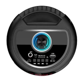 Zore GD-2402 Dijital LED Göstergeli FM Radyolu Mikrofonlu RGB TWS Çift 4 inç Stereo Bass Kablosuz Karaoke Hoparlör - 6
