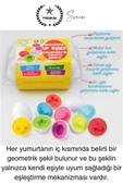 6'lı Geometrik Yumurta Eşleme Oyunu Motor Gelişim Görsel Algı Şekilli Eğitici Öğretici Oyuncak - 5