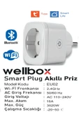wellbox Akım Korumalı Priz Wi-fi Tuya Destekli Akıllı Priz Telefon Kontrollü Akıllı Priz - 1