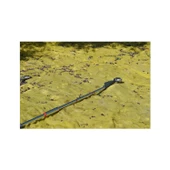 Rapco Bg630 Motorlu Omega Şanzımanlı Zeytin Hasat Makinası 3.1 hp - 3