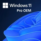 Windows 11 Pro OEM Lisans Key - 1