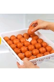 15liYumurta Saklama Kabı - 2