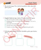 4. Sınıf 4x4'lük Tatil Tekrar Seti | 12 Fasikül+Bilişsel Etkinlikler-2025 thumbnail 4