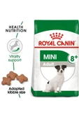 Royal Canin Mini Adult +8 Küçük Irk Yaşlı Köpek Maması 2 Kg - 1
