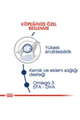 Royal Canin Maxi Adult Büyük Irk Yetişkin Köpek Maması 15kg thumbnail 1