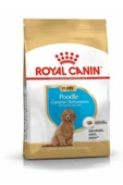 Royal Canin Puppy Poodle Küçük Irk Yavru Köpek Maması 3 kg thumbnail 1
